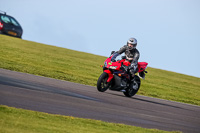 PJ-Motorsport-2019;anglesey-no-limits-trackday;anglesey-photographs;anglesey-trackday-photographs;enduro-digital-images;event-digital-images;eventdigitalimages;no-limits-trackdays;peter-wileman-photography;racing-digital-images;trac-mon;trackday-digital-images;trackday-photos;ty-croes